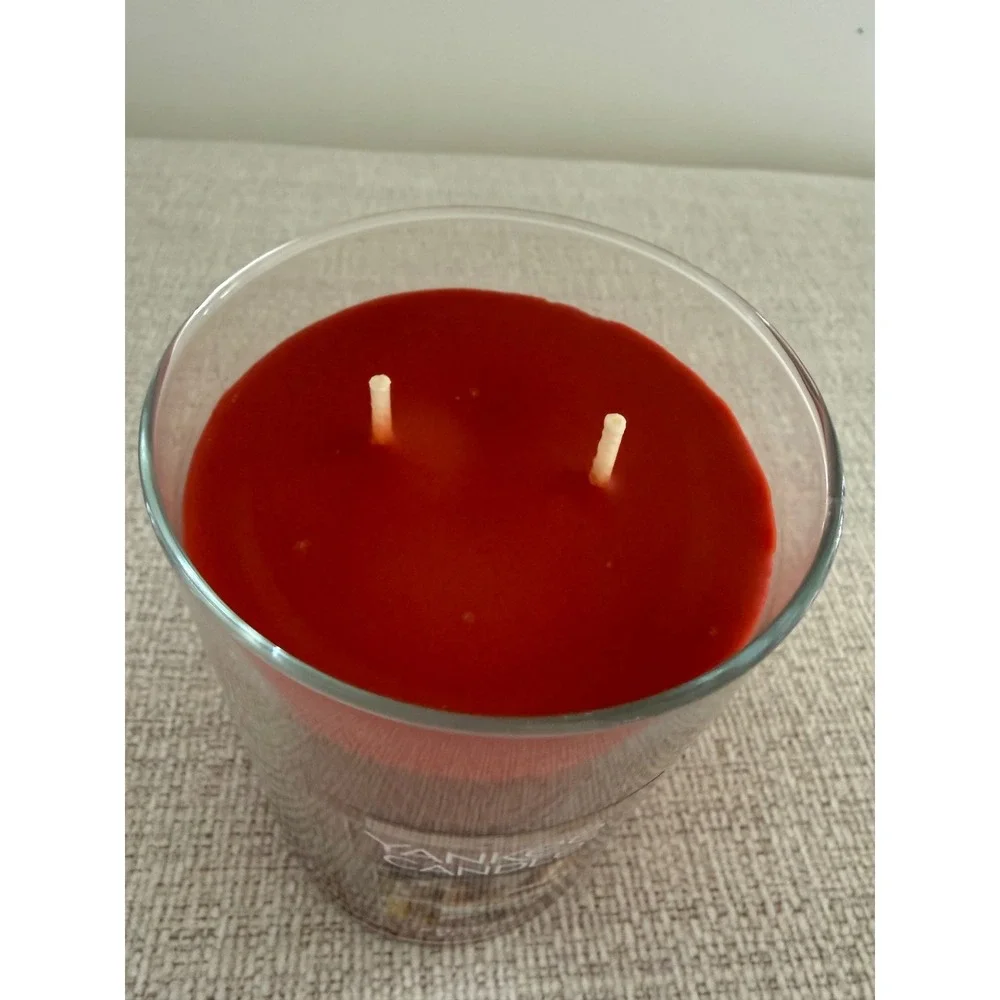 New‎ Yankee Candle KITCHEN SPICE Large 2-Wick Tumbler 22 Oz Red Brown Wax